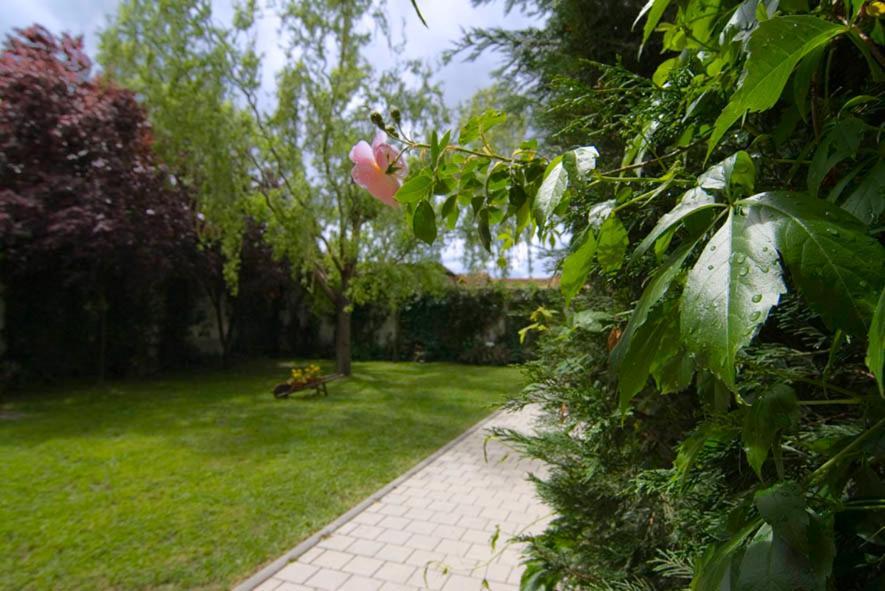 El Molino Villa Nieva  Kültér fotó